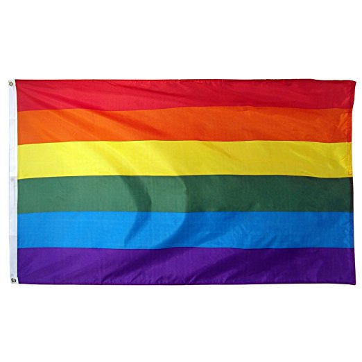 Rainbow Flag Gay Pride Lesbian Banner Striped Event Pennant LGBT Sign New 3x5