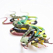 Rubber Assorted Colorful Large 14" Rainforest Snakes - 12 Pack - Snake Toys For Children, Gag toys, Prank, Prop