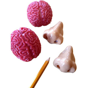 Nose Pencil Sharpener (2) and Brain Splat Ball (2) Novelty - 4 Pack Set Smash it Squishy Toy